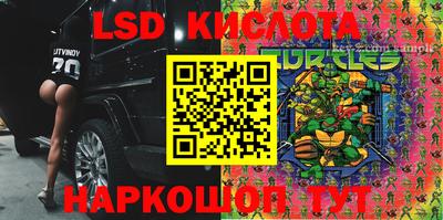 прущие крисы Моздок