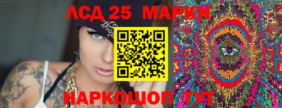 прущие крисы Моздок