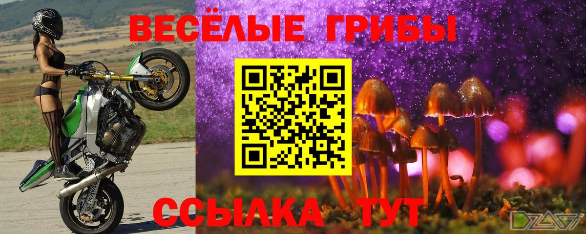 Татарск  Псилоцибиновые грибы прущие грибы  Вход с VPN 