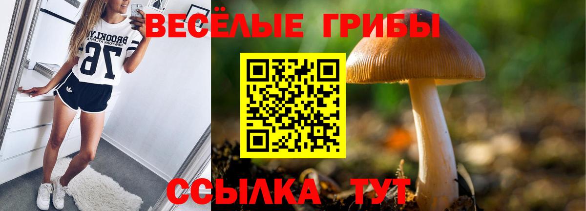 Псилоцибиновые грибы Cubensis Татарск